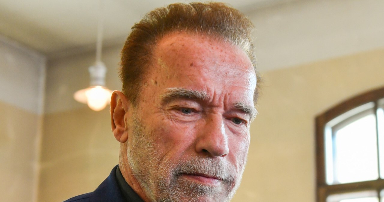 Arnold Schwarzenegger /Artur Barbarowski /East News