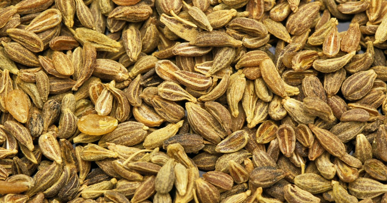 Aromatyczna przyprawa dobra podczas przeziębienia i nie tylko. Niegdyś babcie chętnie po nią sięgały /East News