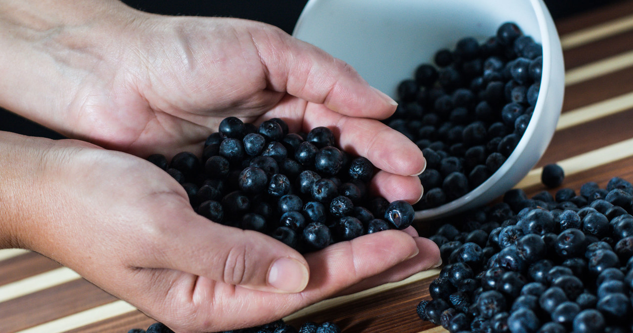 Aronia jest źródłem antyoksydantów i wielu witamin /123RF/PICSEL