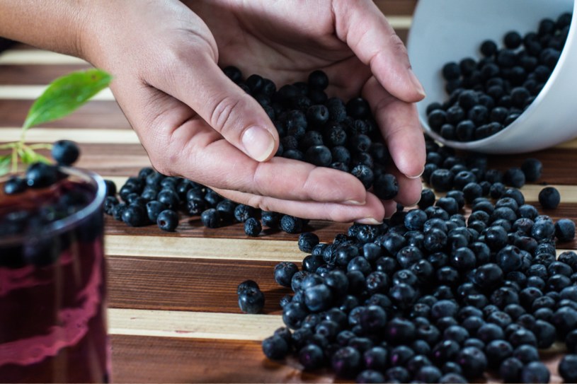 Aronia to rekordzista pod względem ilości antyoksydantów. Jedz, a unikasz chorób cywilizacyjnych /123RF/PICSEL