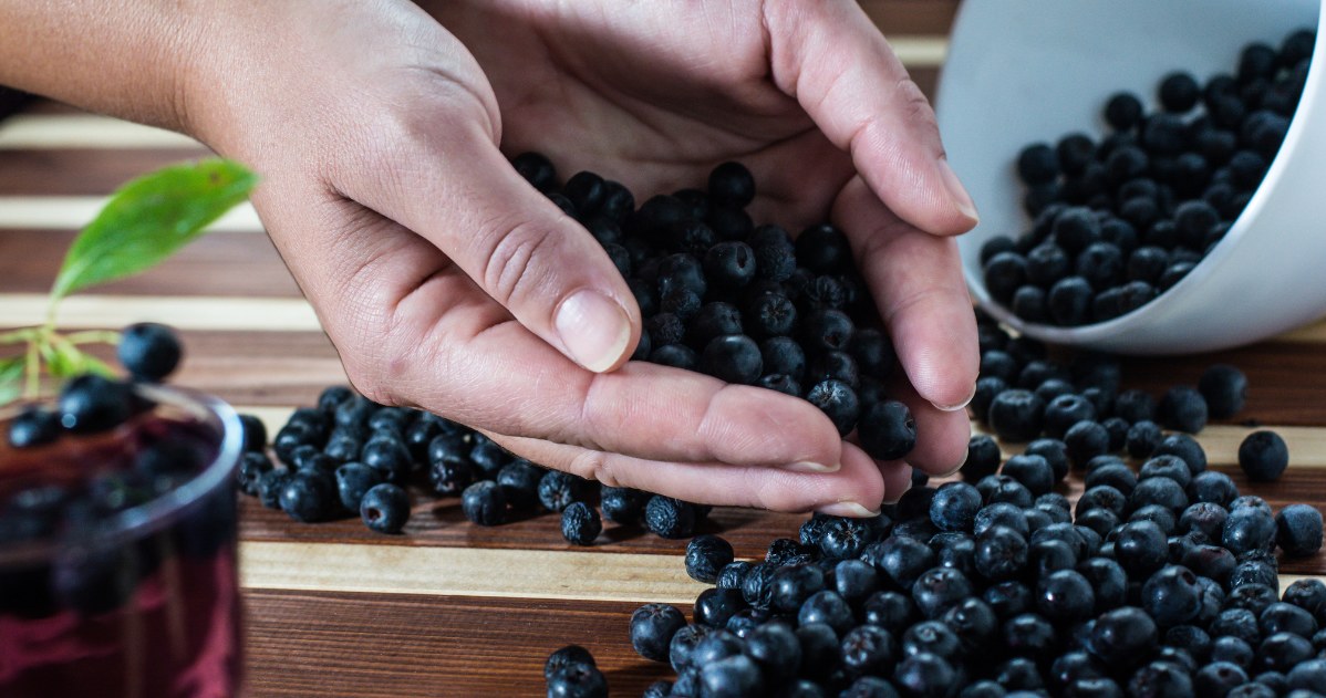 Aronia to rekordzista pod względem ilości antyoksydantów. Jedz, a unikasz chorób cywilizacyjnych /123RF/PICSEL