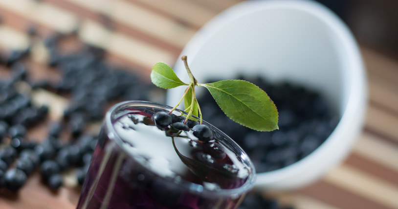 Aronia z powodzeniem będzie zdobić ogród działkowy, jak również ten przydomowy /123RF/PICSEL