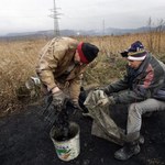 ARP: Sprzedaż węgla w Polsce drastycznie spadła