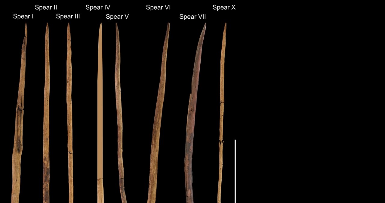 Artefakty odnalezione w trakcie badań /Leder D., et al., 2024. The wooden artifacts from Schöningen’s Spear Horizon and their place in human evolution. Proceedings of the National Academy of Science 121(15), e2320484121/Open Access /materiały prasowe