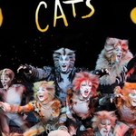 ​Artyści musicalu "Cats" w finale "Tańca z Gwiazdami"