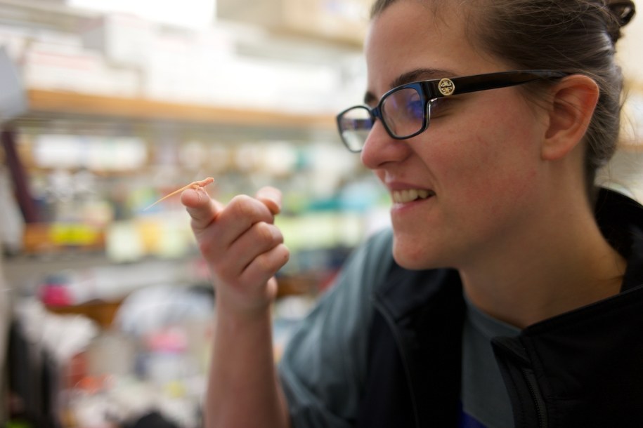 Ashley Rasys z jedną ze zmodyfikowanych jaszczurek /UGA /Materiały prasowe