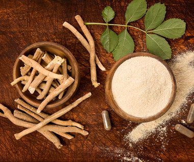 Ashwagandha, czyli królowa adaptogenów. Jak działa na zdrowie?