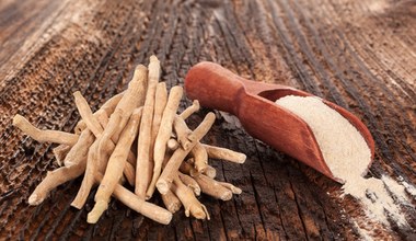 Ashwagandha obniża poziom kortyzolu, pobudza tarczycę do pracy. Kto powinien ją stosować?