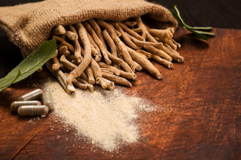 Ashwagandhę od lat stosuje się w medycynie ajurwedyjskiej /123RF/PICSEL