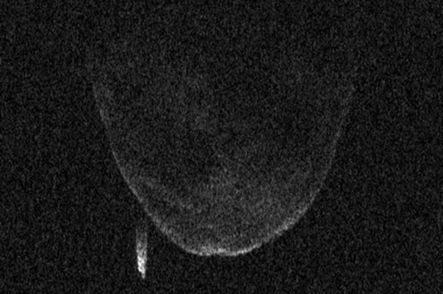 Asteroida 1998 QE2 inna niż wszystkie /NASA
