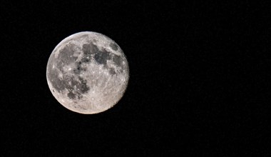 Asteroida uderzy w Księżyc? Naukowcy przewidują skutki dla Ziemi