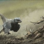 Asteroida wybiła dinozaury, ale ptaki przeżyły. Jak to możliwe?