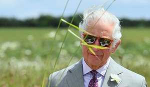 Aston Martin jeżdżący na winie i serce z protestującymi, czyli ekologia według księcia