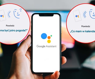 Asystent Google. Jak go wyłączyć w telefonie raz na zawsze?