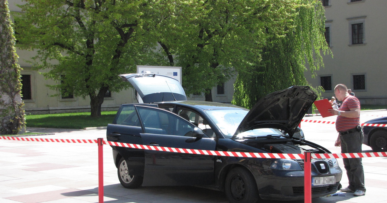 Atak na Wawelu. Policja zatrzymała szaleńca z siekierą