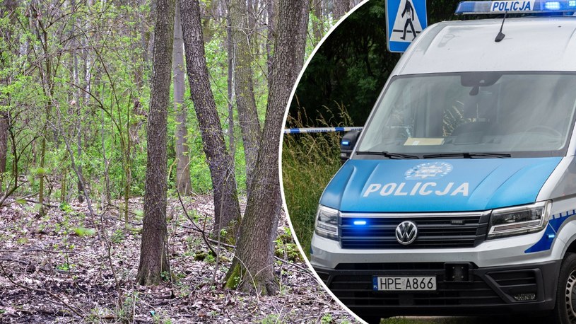 Atak nożownika w Lesie Bródnowskim. Dwóch 15-latków trafiło do szpitala