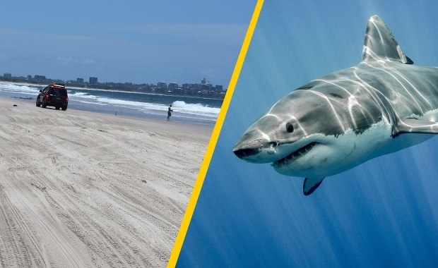 Atak rekina niedaleko brzegu. Zginęła nastolatka 