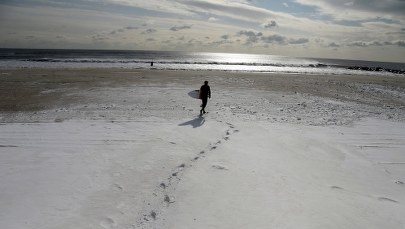 Atak rekina przy plaży w Nowym Jorku. 50-latka w krytycznym stanie