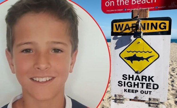 Atak rekina w Sydney. 12-latek zmarł w szpitalu