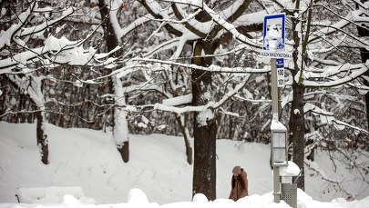 Atak śnieżycy w Krakowie. Autobusy aglomeracyjne nie dojeżdżają do pętli