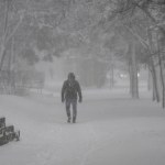 Atak zimy na Pomorzu i zaspy po kolana. "Do pracy nie pojechałam, a spacer z psem to tragedia"