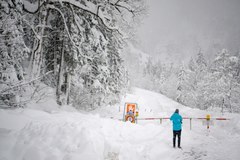 Atak zimy w Austrii