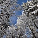 Atak zimy w Polsce. Spadł pierwszy śnieg