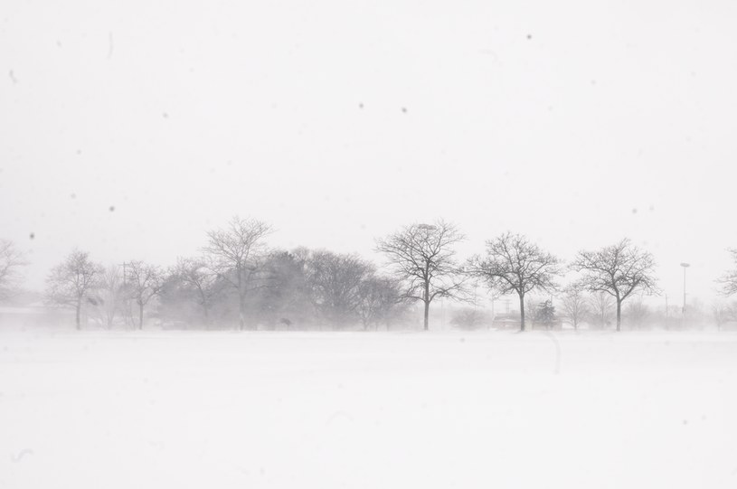 Atak zimy w stanie Michigan /Katie McTiernan/Anadolu Agency /Getty Images