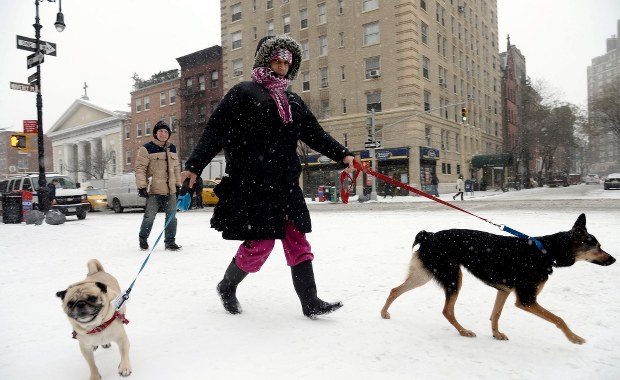​Atak zimy w USA. Odwołano tysiące lotów