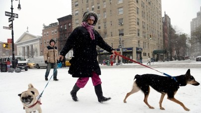 ​Atak zimy w USA. Odwołano tysiące lotów