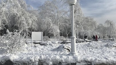 Atak zimy w USA. Zamknięte szkoły, odwołane loty