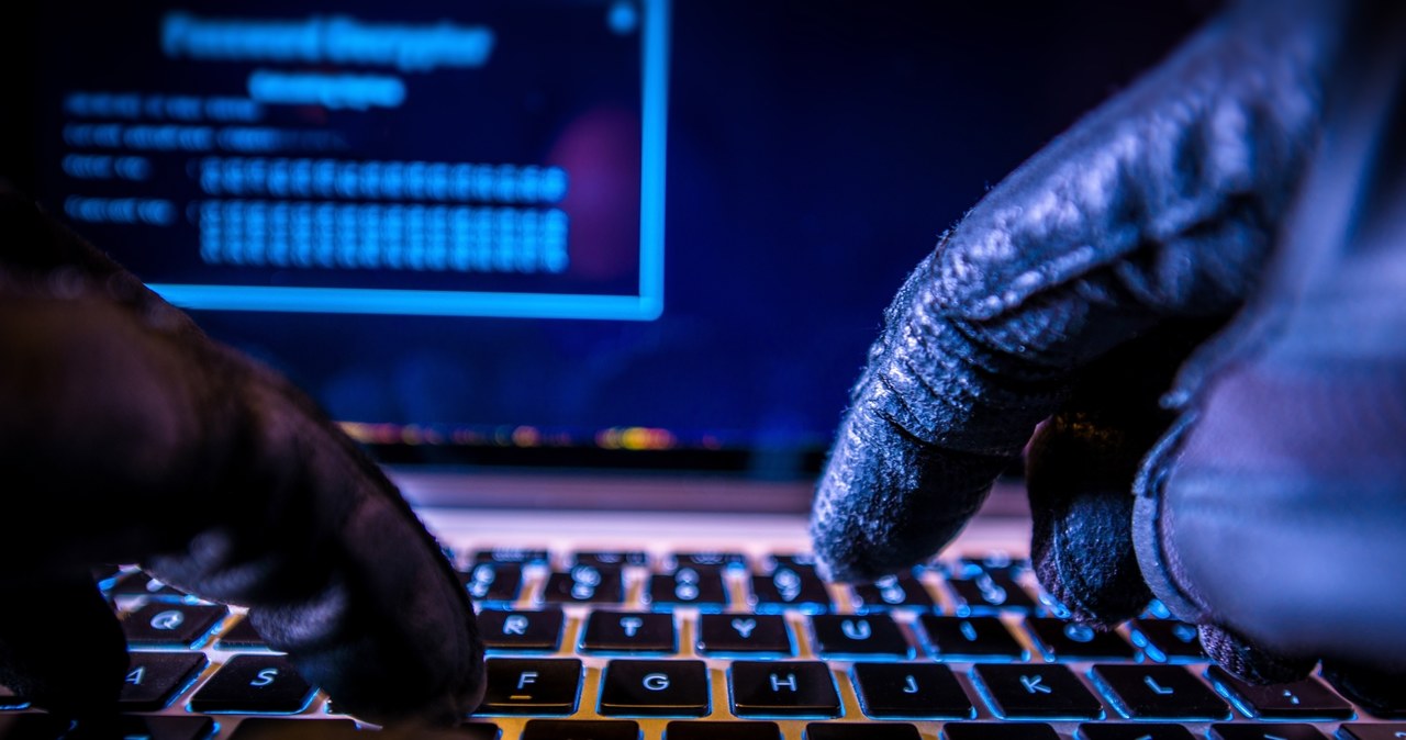 Ataki hakerskie to coraz większy problem użytkowników internetu /123RF/PICSEL