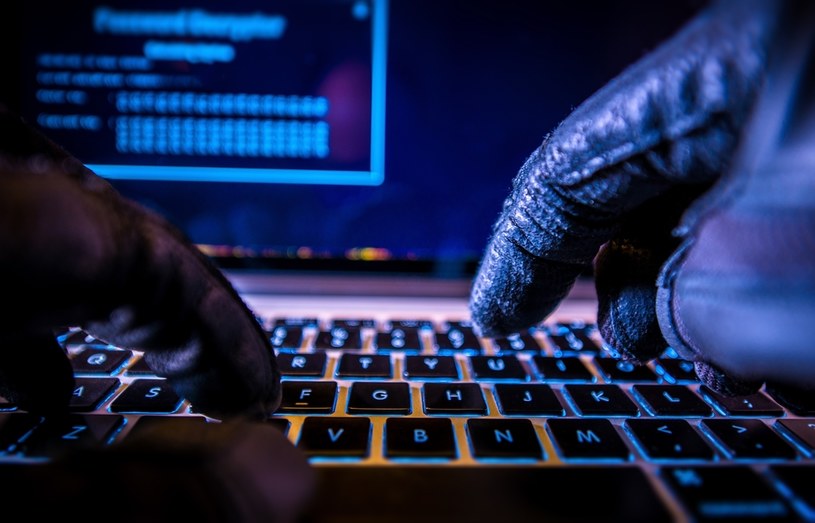 Ataki hakerskie to ogromny problem użytkowników internetu /123RF/PICSEL