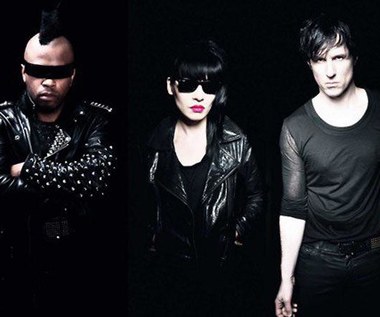 Atari Teenage Riot na 19. Przystanku Woodstock