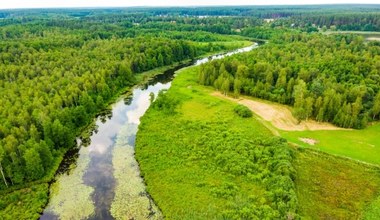 Atrakcje skrywane w polskich lasach. Najciekawsze miejsca na wycieczkę