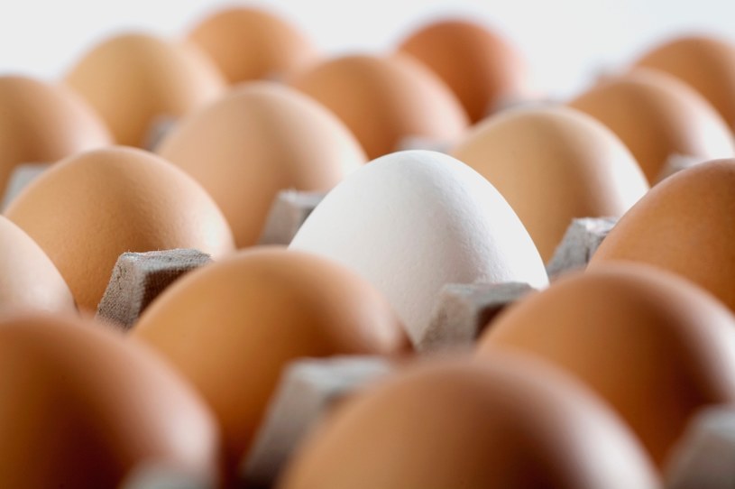 Auchan wycofuje ze sprzedaży jaja z chowu klatkowego (zdj. ilustracyjne) /© Glowimages