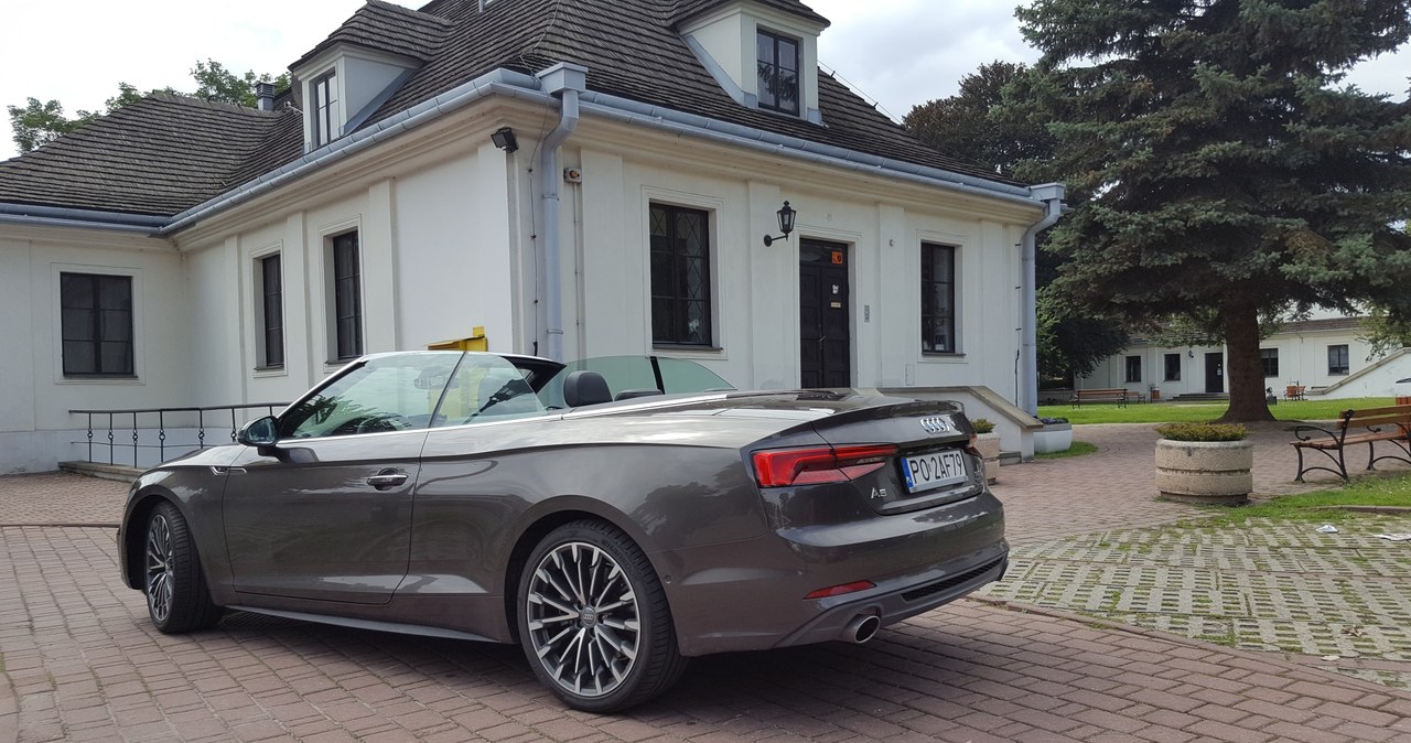 Audi A5 Cabriolet 2.0 TFSI quattro /INTERIA.PL