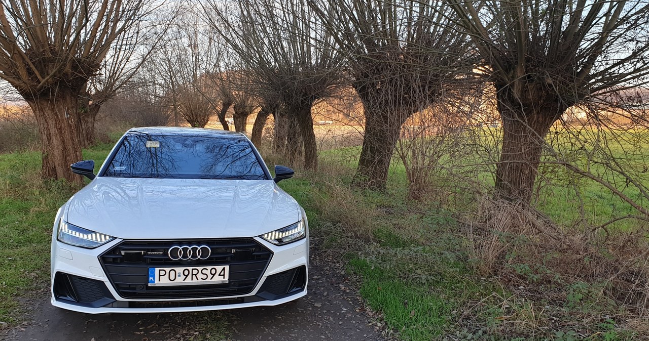 Audi A7 55 TFSI e /INTERIA.PL