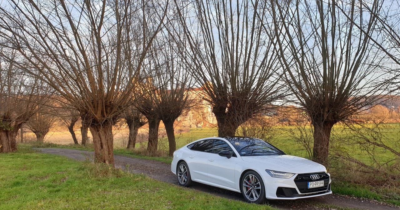 Audi A7 55 TFSI e /INTERIA.PL