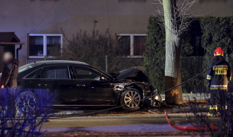 Audi A8 z Beatą Szydło zatrzymało się na drzewie /Andrzej Grygiel /PAP