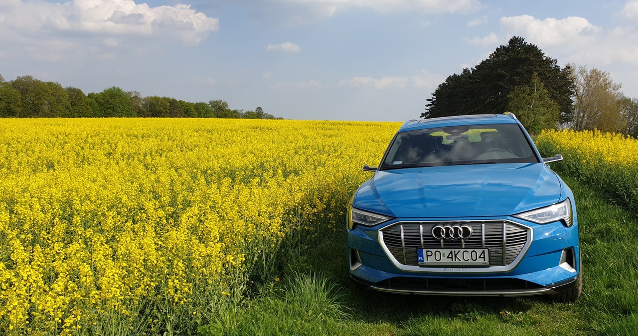 Audi e-tron advanced 55 quattro /INTERIA.PL