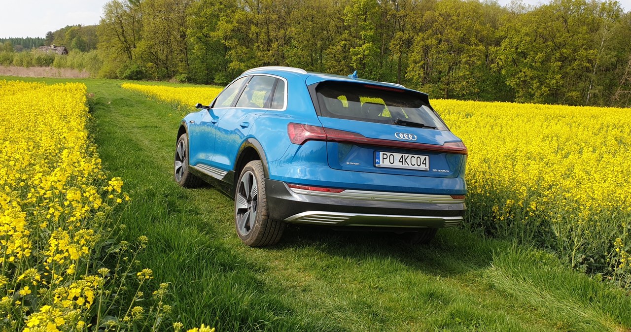 Audi e-tron advanced 55 quattro /INTERIA.PL