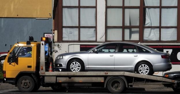 Audi na lawecie to rzadki widok / Fot: Włodzimierz Wasyluk /Reporter