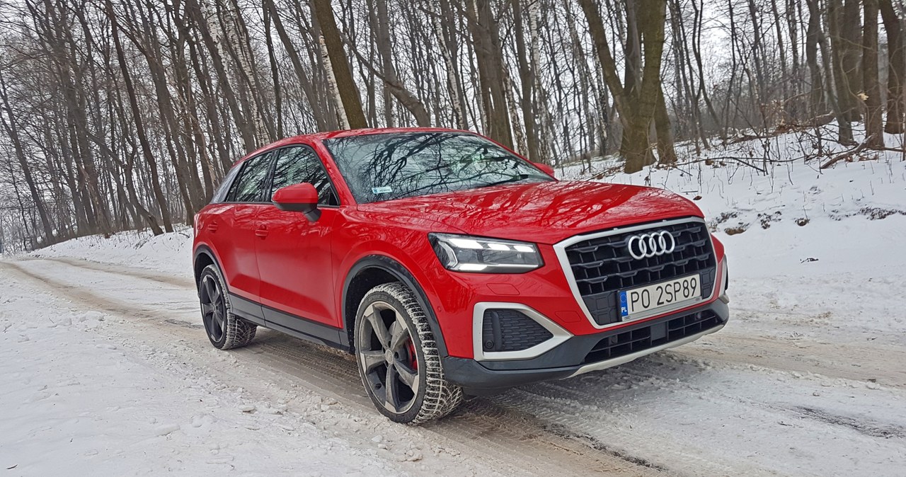 Audi Q2 35 TFSI /INTERIA.PL