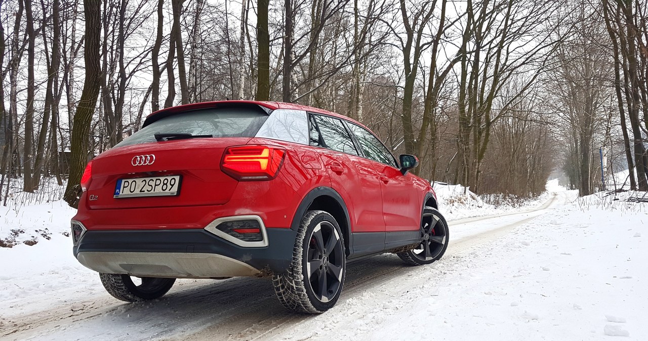 Audi Q2 35 TFSI /INTERIA.PL