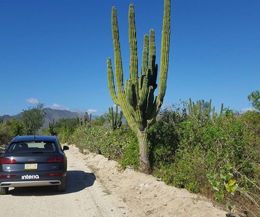 Audi Q5. "Panowie, tylko mi tego nie spie..., to znaczy nie zepsujcie"