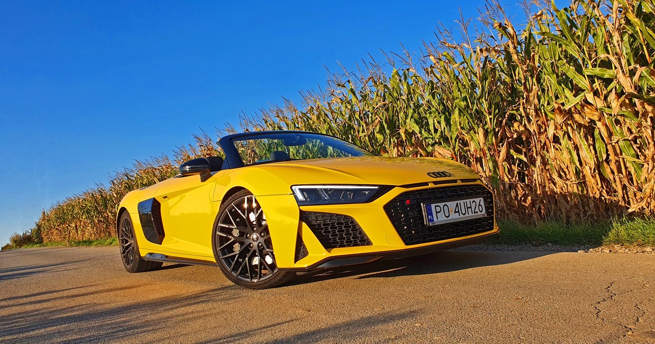 Audi R8 Spyder V10 RWD /Michał Domański /INTERIA.PL