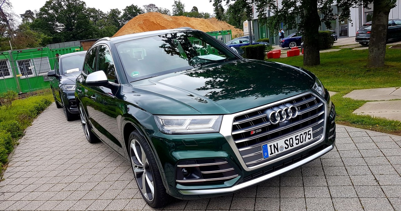 Audi SQ5 /INTERIA.PL