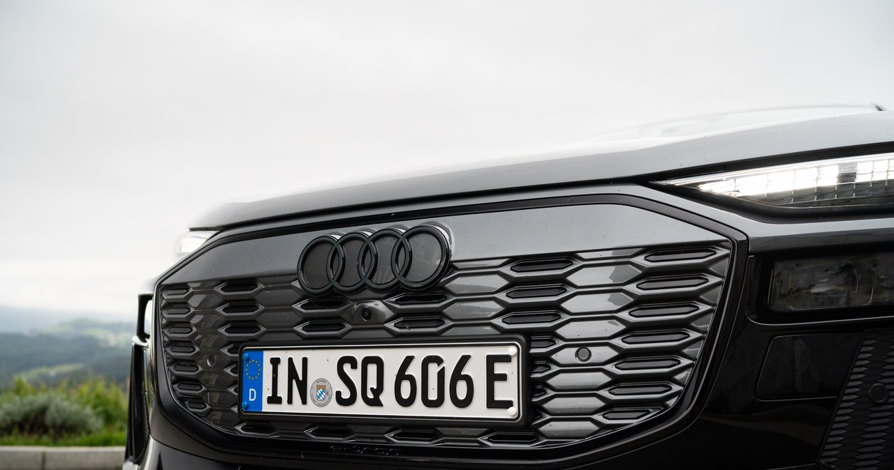 Audi SQ6 e-tron /Jan Guss-Gasiński /INTERIA.PL