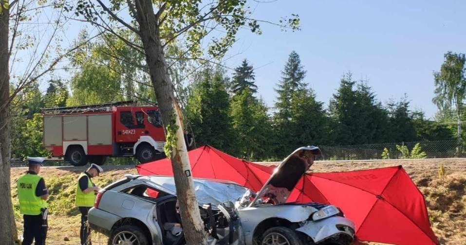 Audi wypadło z drogi i bokiem uderzyło w drzewo /Policja